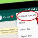 How to unblock your self on WhatsApp - wp unblock