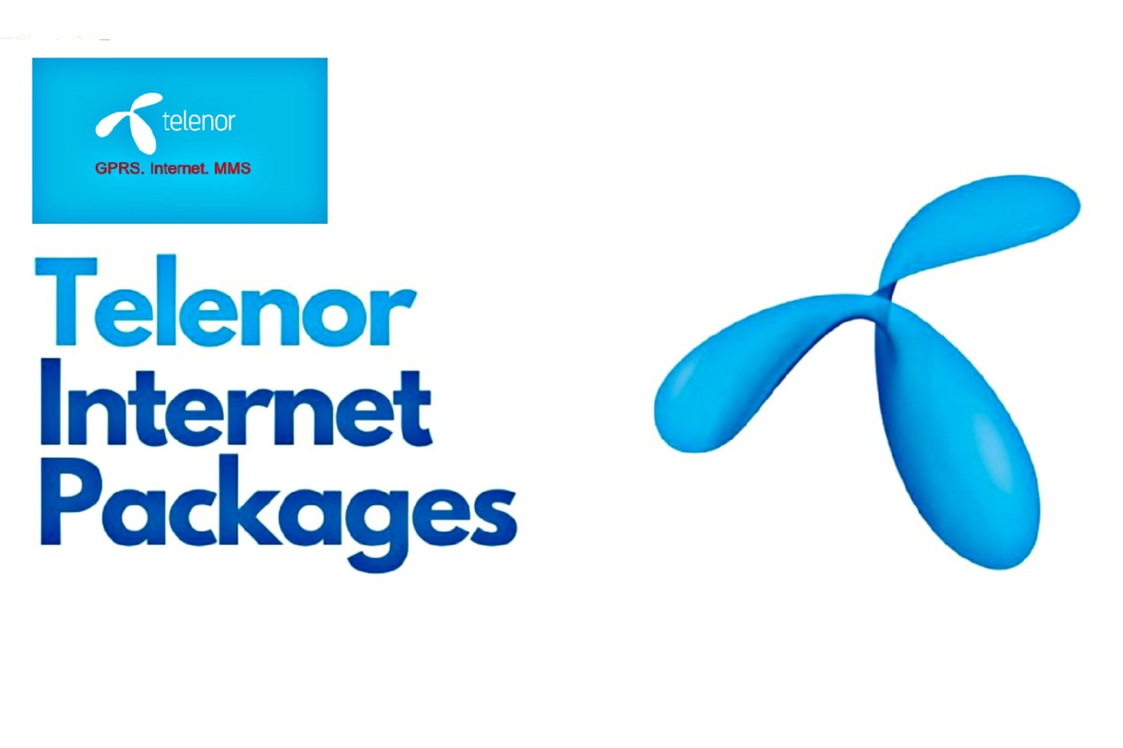 Telenor sim internet packages